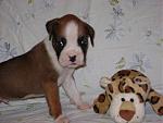 Click image for larger version

Name:	#1-2.jpg
Views:	282
Size:	66.2 KB
ID:	943927