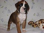 Click image for larger version

Name:	#5-3.jpg
Views:	280
Size:	75.0 KB
ID:	943930