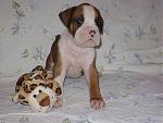 Click image for larger version

Name:	#8-1.jpg
Views:	253
Size:	72.9 KB
ID:	943931