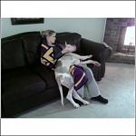 Click image for larger version

Name:	6 months.jpg
Views:	217
Size:	38.0 KB
ID:	943959
