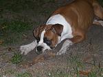 Click image for larger version

Name:	Tired.jpg
Views:	243
Size:	748.7 KB
ID:	943961