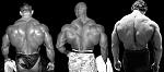 Click image for larger version

Name:	backs.jpg
Views:	266
Size:	60.0 KB
ID:	944204