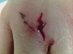 Click image for larger version

Name:	knuckle.jpg
Views:	298
Size:	253.5 KB
ID:	944229