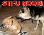 Click image for larger version

Name:	stfu_noob.jpg
Views:	292
Size:	47.5 KB
ID:	944243