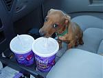 Click image for larger version

Name:	TacoBell.jpg
Views:	280
Size:	15.0 KB
ID:	944252