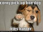 Click image for larger version

Name:	cute-puppy-pictures-corny-pickup-line.jpg
Views:	247
Size:	100.3 KB
ID:	944270