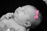 Click image for larger version

Name:	ken1.jpg
Views:	286
Size:	56.3 KB
ID:	944330