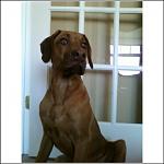 Click image for larger version

Name:	gunny.jpg
Views:	161
Size:	38.0 KB
ID:	944345