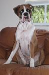 Click image for larger version

Name:	Sir Duke2.jpg
Views:	252
Size:	946.1 KB
ID:	944386