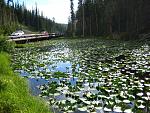Click image for larger version

Name:	Continental_divide.jpg
Views:	277
Size:	107.3 KB
ID:	944402