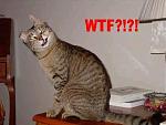 Click image for larger version

Name:	wtf6.jpg
Views:	280
Size:	18.3 KB
ID:	944540