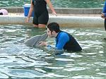 Click image for larger version

Name:	hardrock6.JPG
Views:	266
Size:	46.9 KB
ID:	944562