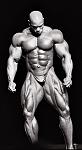 Click image for larger version

Name:	flex_wheeler.jpg
Views:	195
Size:	67.1 KB
ID:	944583