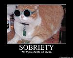 Click image for larger version

Name:	633564336094733972-sobrietywhyitsimportanttojustsaynofunny.jpg
Views:	319
Size:	87.7 KB
ID:	944585