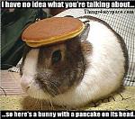 Click image for larger version

Name:	no-idea.JPG
Views:	194
Size:	32.3 KB
ID:	944589