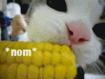 Click image for larger version

Name:	animated_gifs_01.gif
Views:	216
Size:	218.9 KB
ID:	944627