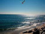 Click image for larger version

Name:	232783E.jpg
Views:	197
Size:	21.3 KB
ID:	944675