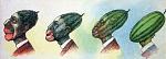 Click image for larger version

Name:	watermelon_edited_op_769x275_op_750x268.jpg
Views:	255
Size:	34.7 KB
ID:	944691