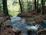 Click image for larger version

Name:	Buttermilk-Falls-Delaware-Water-Gap-National-Recreation-Area-New-Jersey.jpg
Views:	233
Size:	148.0 KB
ID:	944762