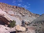Click image for larger version

Name:	trail2.jpg
Views:	217
Size:	197.3 KB
ID:	944948