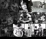 Click image for larger version

Name:	Windows Photo Gallery Wallpaper.jpg
Views:	190
Size:	219.3 KB
ID:	945027