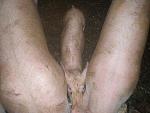 Click image for larger version

Name:	well.jpg
Views:	316
Size:	22.9 KB
ID:	945469