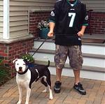 Click image for larger version

Name:	loso4months.jpg
Views:	251
Size:	58.1 KB
ID:	945550