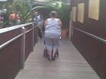 Click image for larger version

Name:	IMG-20120909-00810.jpg
Views:	192
Size:	86.2 KB
ID:	945569