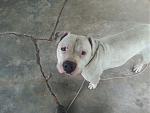Click image for larger version

Name:	20130419_164020.jpeg
Views:	289
Size:	171.3 KB
ID:	945708