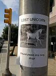 Click image for larger version

Name:	IMG_2969636505885.jpeg
Views:	187
Size:	50.6 KB
ID:	945962