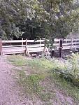 Click image for larger version

Name:	Bridge.jpg
Views:	259
Size:	110.2 KB
ID:	945967