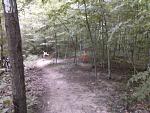Click image for larger version

Name:	Wide Trail.jpg
Views:	273
Size:	329.4 KB
ID:	945974