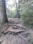 Click image for larger version

Name:	Stairs of Nature.jpg
Views:	259
Size:	86.1 KB
ID:	945979