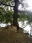 Click image for larger version

Name:	Tree God and Boys.jpg
Views:	274
Size:	95.9 KB
ID:	945983