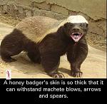 Click image for larger version

Name:	12438975_927473067360111_3967974736466032207_n.jpg
Views:	189
Size:	48.4 KB
ID:	946464