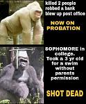 Click image for larger version

Name:	13312867_283845381962224_8261398625952389133_n.jpg
Views:	218
Size:	60.7 KB
ID:	946605