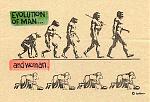 Click image for larger version

Name:	evol2.jpg
Views:	283
Size:	44.3 KB
ID:	947707