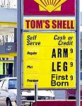 Click image for larger version

Name:	shell.jpg
Views:	260
Size:	27.2 KB
ID:	947766