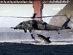 Click image for larger version

Name:	untitled.jpg
Views:	233
Size:	71.3 KB
ID:	947794