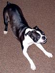 Click image for larger version

Name:	muggsy.jpg
Views:	594
Size:	65.7 KB
ID:	947816