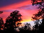 Click image for larger version

Name:	sunset10-05-03.jpg
Views:	263
Size:	66.5 KB
ID:	947842