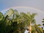 Click image for larger version

Name:	dcp01949.jpg
Views:	293
Size:	136.3 KB
ID:	947910