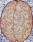 Click image for larger version

Name:	malebrain.gif
Views:	224
Size:	91.2 KB
ID:	947959