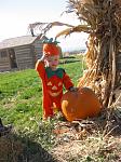 Click image for larger version

Name:	jack-o-lantern.jpg
Views:	234
Size:	160.6 KB
ID:	947963