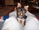 Click image for larger version

Name:	curious bear.jpg
Views:	258
Size:	126.6 KB
ID:	947983