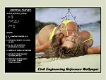 Click image for larger version

Name:	civil.jpg
Views:	213
Size:	70.6 KB
ID:	948044
