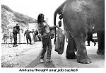 Click image for larger version

Name:	crappyjob.jpg
Views:	201
Size:	51.9 KB
ID:	948085