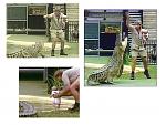 Click image for larger version

Name:	crochunterchildmultipic.jpg
Views:	279
Size:	171.7 KB
ID:	948152