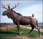 Click image for larger version

Name:	tourist1.jpg
Views:	277
Size:	11.5 KB
ID:	948438