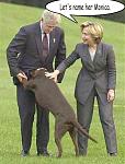 Click image for larger version

Name:	naming_the_dog.jpg
Views:	250
Size:	78.3 KB
ID:	948487